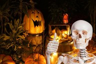 Halloween Takes Over Albany's Washington Park