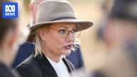 Opposition blames Labor for scuttling Sussan Ley's planned visit to Tomago smelter