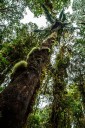 LA COP16 Y LA ACADEMIA EN DEFENSA DE LA VIDA