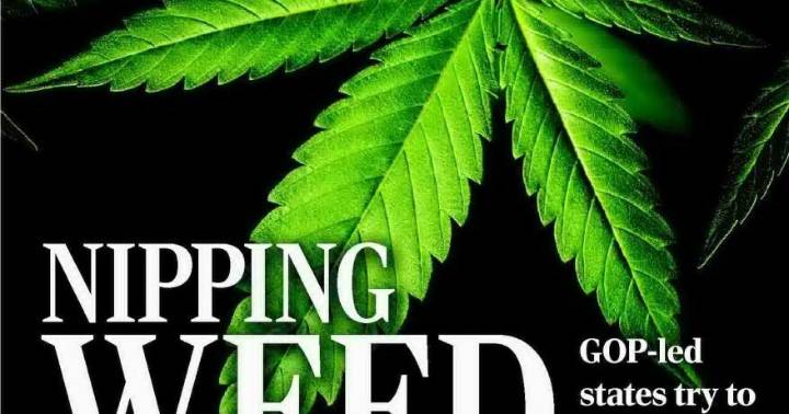 NIPPING WEED IN THE BUD