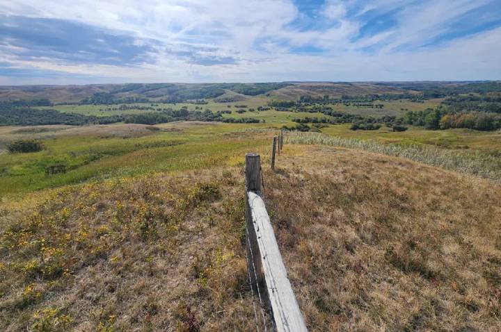 New 1,596-acre conservation area established in Cypress Hills region