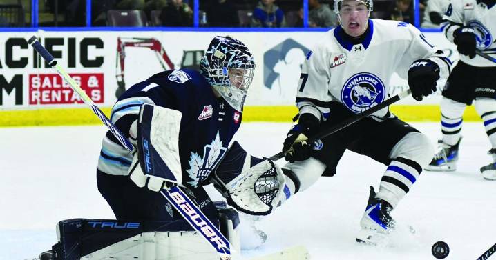 Vees unveil Total Tuesday promotion