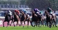 Daryz's thrilling comeback secures victory at the Prix de l’Arc de Triomphe