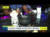 Calypso's "Spirits of the Bayou" Returns to Soulard this Weekend