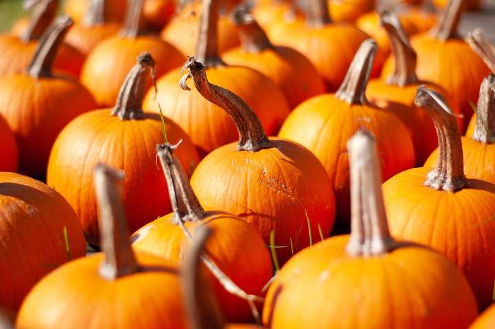 Best free & cheap things to do this weekend in South Florida