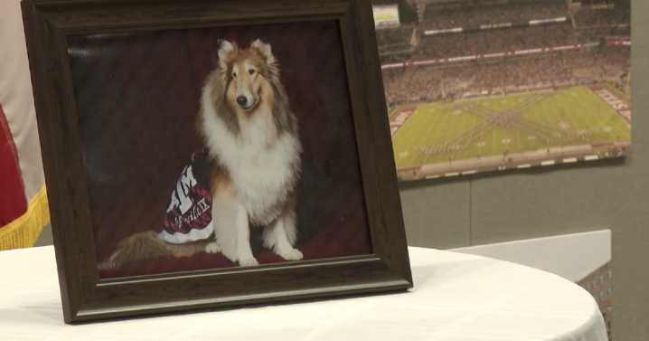 Texas A&M community says final goodbye to beloved mascot Reveille IX
