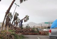 Tras inundaciones en el país, PAN advierte vulnerabilidad de BCS ante emergencias climáticas