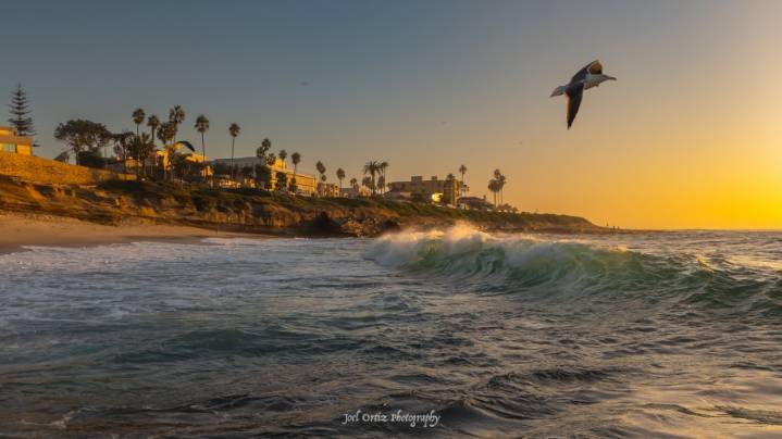 Record-breaking heat as temperatures soared up to 20 degrees above average