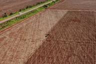 La sabana tropical de Brasil es amenazada por la lucha arancelaria entre Trump y China