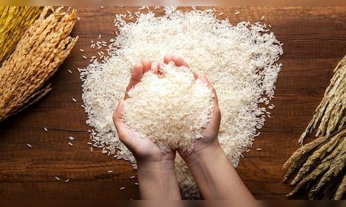 India's rice exporters aim to tap into opportunities worth ₹1.80 lakh cr, sign MoUs worth ₹25,000 cr