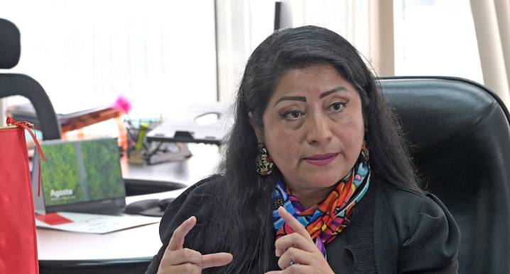 Denisse Miralles será la nueva titular del Ministerio de Economía y Finanzas: quién es y cuál es su perfil | nueva ministra mef | mef 