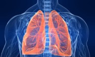 Relief of a sigh could be related to reduced surface tension of lung fluid, study finds