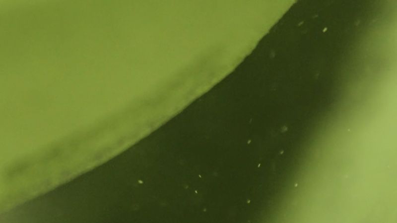 Is matcha linked to iron deficiency?