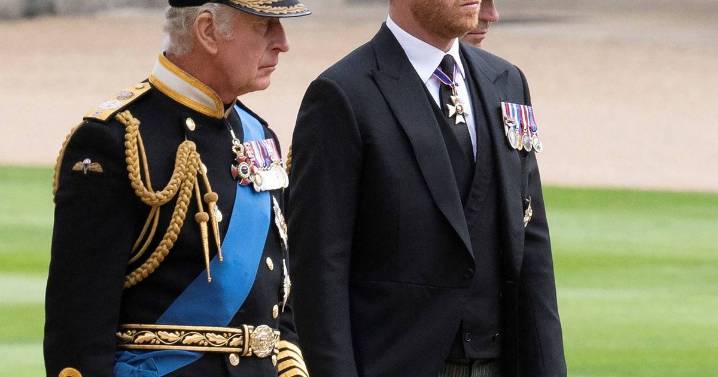 Prince Harry and King Charles' shared passion that could 'fix' relationship