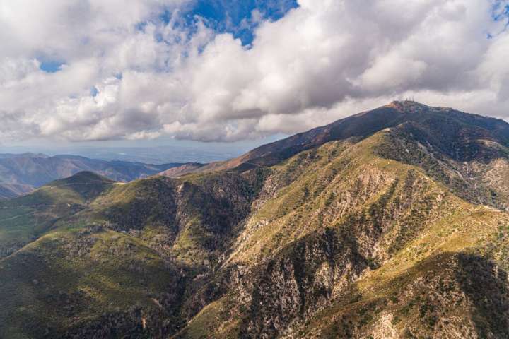 Proposal to Undo Roadless Rule Would Open Some of Southern California’s Last Wild Forests to Development