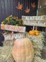 HAPPENING NOW: Win a ‘Great Pumpkin’ at Alki UCC Autumn Festival