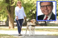 NJ senator moves to punish service dog discrimination