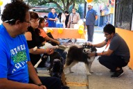 Realiza Guadalupe 17 mil servicios veterinarios en primer año de gobierno
