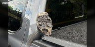 Lava rock 'showers' reported following Kilauea's latest episode