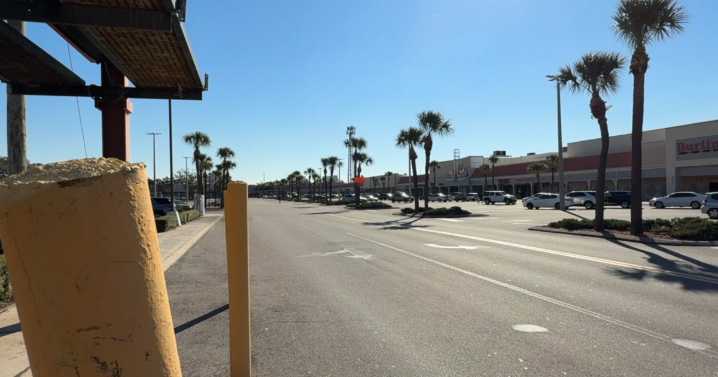 Britton Plaza makeover proposed, some long-time tenants voice uncertainty