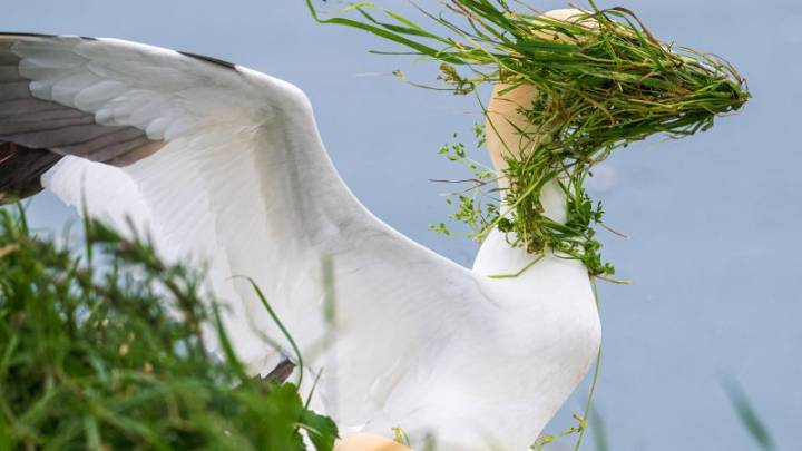 Joyful images from this year’s Comedy Wildlife Awards finalists