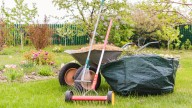 Why Fall Is The Best Time To Dethatch The Cool