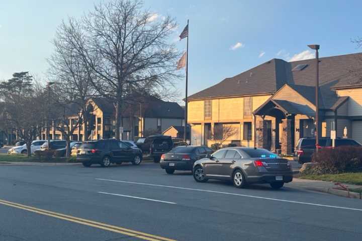 Herndon man pleads guilty to manslaughter in 2024 shooting of teenage boy