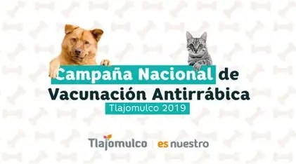 Tlajomulco inicia campaña antirrábica 2025 con vacunación gratuita