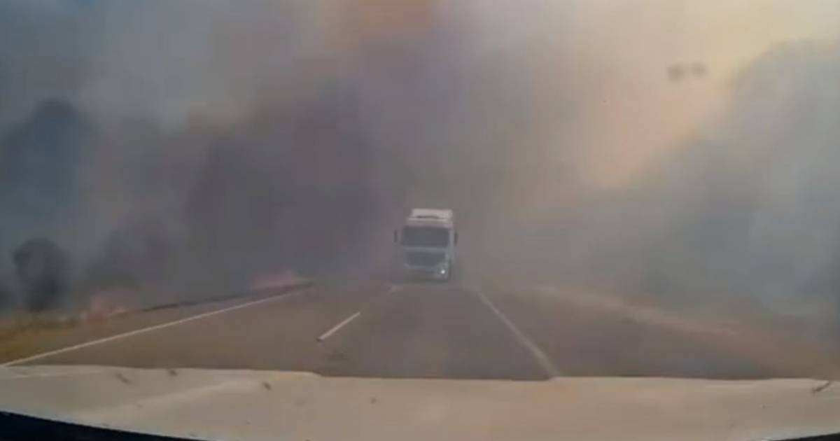 Por el humo de los incendios, una familia casi choca de frente con una camión en ruta 34
