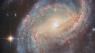 Hubble spies a glowing 'starburst ring' | Space photo of the day for Oct. 20, 2025