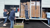 Food bank pop-up event in Stafford draws dozens of federal workforce families amid shutdown