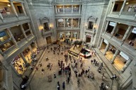 ¿Shutdown en DC? Guía de museos y atracciones que siguen abiertos