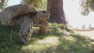 Monroe's landmark 'Reptile Zoo' to remain open thanks to community support
