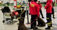 Taquillas, colchones o EPIs: el Ayuntamiento de Málaga invierte 565.000 euros para bomberos, policía y protección civil