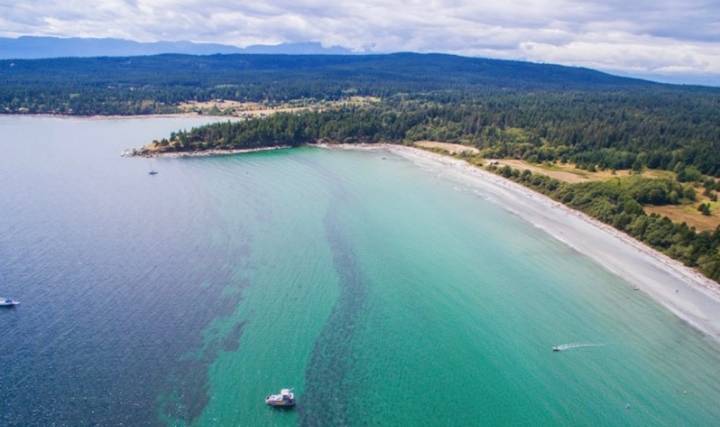 B.C. Parks launching $6.6M transformation of Tribune Bay campground