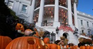 Watch Live: Donald and Melania Trump Hold White House Halloween Celebration