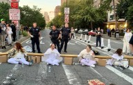 Gaza war protesters block Brooklyn Bridge