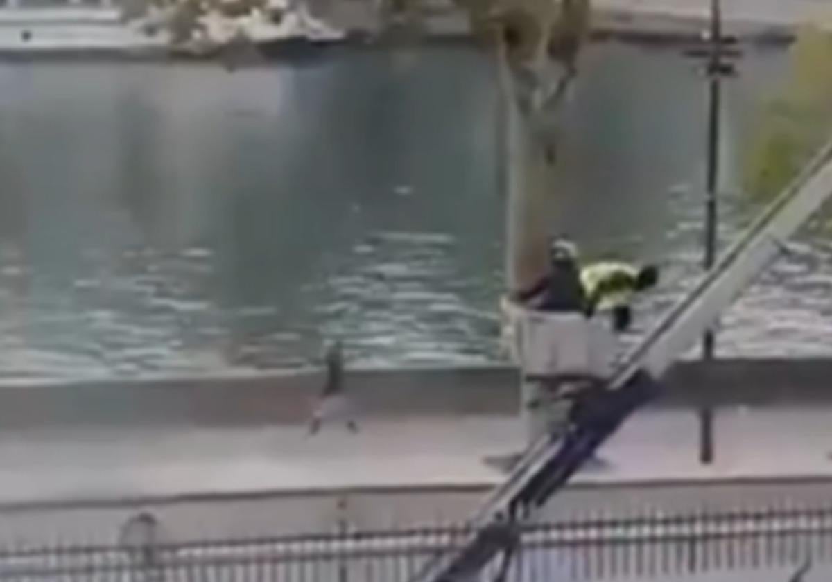 Difunden un vídeo de la huida de los ladrones del Louvre: «Puta, llega la policía»