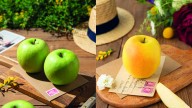 Las manzanas francesas amplían su presencia en Colombia con un aumento del 4 % en su producción