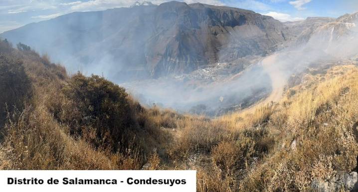 Incendios afectaron la vegetación de tres provincias de Arequipa