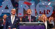 Populist billionaire cruises to Czech election victory