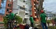 Intervenciones arbóreas buscan prevenir emergencias durante la temporada de lluvias en Armenia