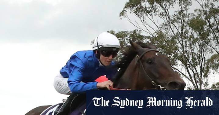Take two for well-bred Pfeiffer gelding after stuttering start