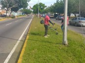Maracaibo Renace: Avanza la Transformación de Avenidas y Espacios Públicos con Operativos de Limpieza y Embellecimiento.