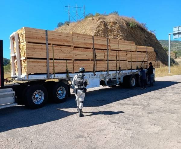 Revisan camiones madereros en tramos carreteros