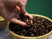 JICA Signs USD 75 mn loan with ECOM  to support Asian coffee farmers