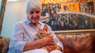 Love Lost AI helps reunite Washington woman with lost Maine Coon cat