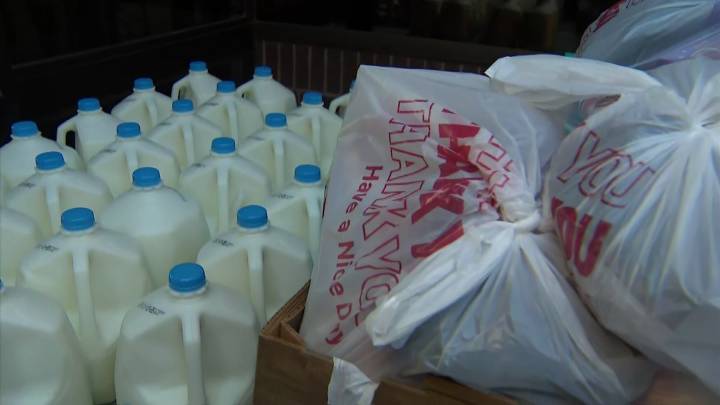 Where to get help finding food as concerns grow over availability of SNAP benefits