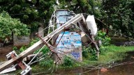 Heavy rain lashes Vijayawada; trees uprooted, roads inundated after Montha makes landfall