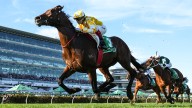 Melbourne Cup 2025 order of entry updates: Horses, barrier draw, how it works and who will make the final field of 24 horses; Sir Delius storms into favouritism after Turnbull Stakes